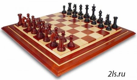 Неизвестные факты об игре в шахматы