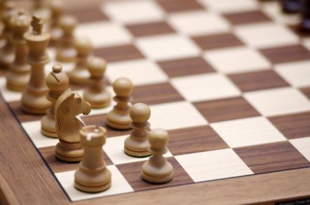 Громкий скандал в украинских шахматах: игроки взбунтовались против главного тренера