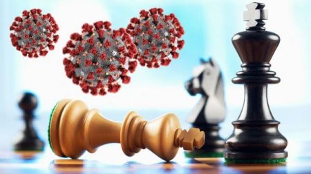 "Оффлайновые шахматы" возвращаются по мере ослабления карантина