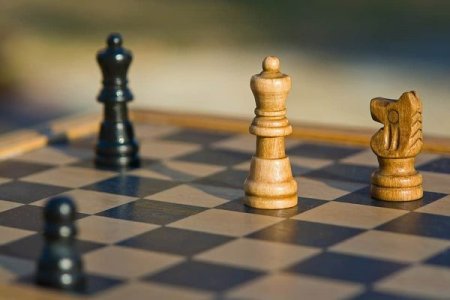 Восьмилетний израильский школьник выиграл международные шахматные соревнования в Греции